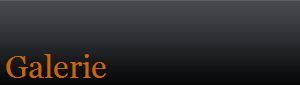 Galerie